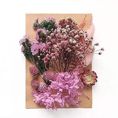 2 Box Real Natural Dried Flowers for Resin Molds, Mini Dried Flower  Bouquet, Pressed Flowers for Candles Jewelry Crafts Scrapbooking Decoration