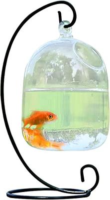 PRTECY Desk Hanging Fish Tank, Small Glass Betta Fish Bowl Mini Aquarium  with Stand, Clear Plant Terrarium for Home Table Top Office Garden Decor -  Yahoo Shopping