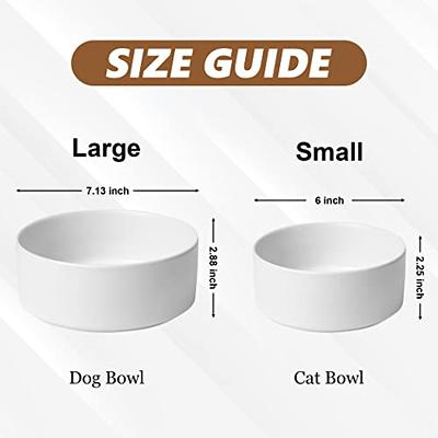 The Complete Guide to Dog Water Dishes