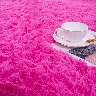 ISEAU Black Rug Carpets Soft Shaggy 4x6 Feet Rugs for Bedroom Living Room,  Fluff