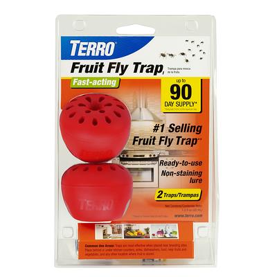 TERRO Pantry Moth Indoor Insect Trap (2-Pack) in the Insect Traps