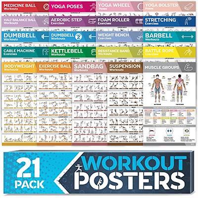 Vive Bodyweight Exercise Poster - Workout Poster for Home Gym