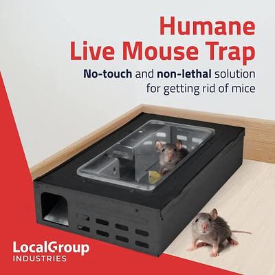 Tin Cat Multi-Catch and Release Humane Live Mouse Trap with Clear