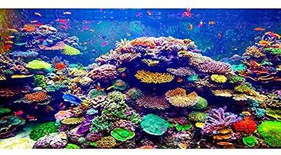 AWERT Undersea Theme Aquarium Background 36x18 inches Polyester Background  Colorful Coral Tropical Fish Underwater World Fish Tank Background - Yahoo  Shopping