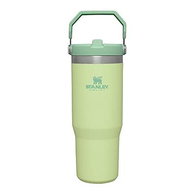 Jade) Stanley IceFlow Stainless Steel Tumbler Vacuum Insulated Water Bottle  Reusable Cup with Straw Leakproof Flip