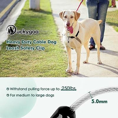 Duckygoo Chew Proof Cable Dog Collar Backup Clip,Durable Dog Leash Safety  Clips,Heavy Duty Dog Collar Backup Connector,Double Ended Backup Safety  Clasp for Basic Dog Collars, Dog Harness, Gentle Lead - Yahoo Shopping