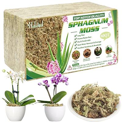 Long Fiber Sphagnum Moss - 2 Quarts | Perfect Plants