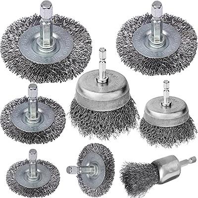 Warner Carbon Wire Coarse Wire Brush in the Wire Brushes department at