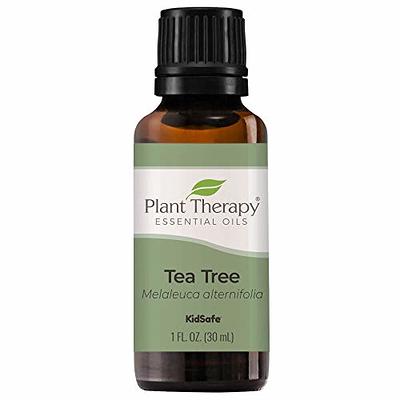 Plant Therapy Organic Tea Tree Oil (Melaleuca) 100% Pure, USDA Certified  Organic, Undiluted, Natural Aromatherapy, Therapeutic Grade 10 mL (1/3 oz)