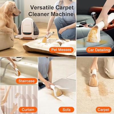 UWANT Portable Carpet and Upholstery Cleaner Machine, Small Handheld Rug  Spot Cleaner with Self-Cleaning Feature
