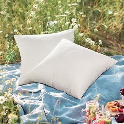 18 x 18 Outdoor Pillow Inserts Set of 4 Water Resistant Throw Pillow Inserts Premium Hypoallergenic Pillow Insert, White