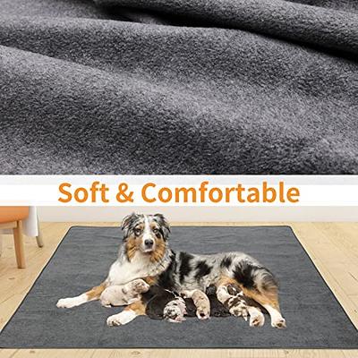  Dog Pee Pad Washable-72*80 Extra Large Instant Absorb Training  Pads Non-Slip Pet Playpen Mat Waterproof Reusable Floor Mat for  Puppy/Senior Dog Whelping Incontinence Housebreaking : Pet Supplies