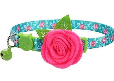 Solmoony Cute Dog Collar for Small Medium Large Dogs, Small Dog Collar for  Females and Male, Boy and Girl Dog Collars, Spring Dog Collar, Male and Female  Dog Collars. (S, Red) 