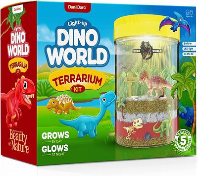 Dinosaur Light Up Terrarium Kit for Kids I Dinosaur Toys Craft Kits for  Kids I Night Light for Kids Crystal Growing Kit I Terrarium Jar for Kids I