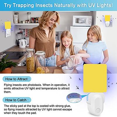 VEYOFLY Indoor Flying Insect Trap - Plug-in Fruit Fly, Gnat and Mosquito  Trap With Refills - Odorless Bug Light for Home