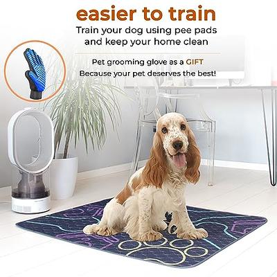 Petbank Washable Pee Pads for Dogs 2-Packs - 24 x 18 Reusable Puppy Pads  High Absorbency Non-Slip Pet Training Pads Waterproof Dog Mats for Breeding  Playpen Potty Crate - Yahoo Shopping