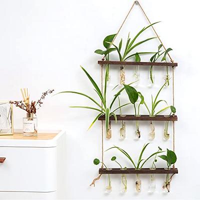 Hanging Planter Tube 3 Pieces, Wall Bud Vase, Glass Test Tube Vase, Plant  Propagation Vase, Hanging Glass Planter, Wall Decor Vase, 