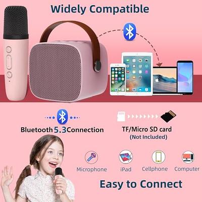 Portable Mini Karaoke Speaker with 2 wireless Mics – 8mm