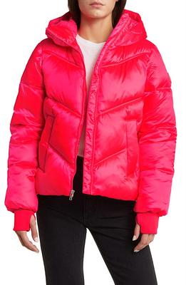 Women's Ronney Puffer Faux Leather Jacket