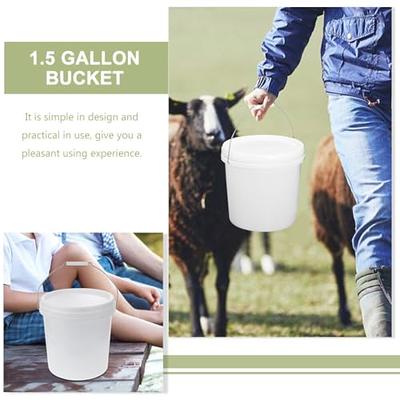 Baluue 2 Gallon White Plastic Bucket, Durable Heavy Bucket with Lid and  Handle Paint Pail Water Bucket Industrial Use Household Plastic Pail for  Pet Food Storage Container - Yahoo Shopping