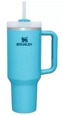 Stanley The IceFlow Flip Straw 40 oz. Jug in Pool