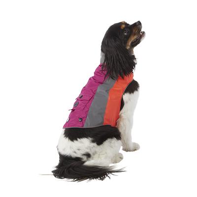 3 peaks dog jacket