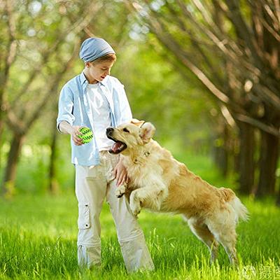 Interactive Rubber Balls for Small Large Dogs Puppy Cat Chewing Toys Pet  Tooth