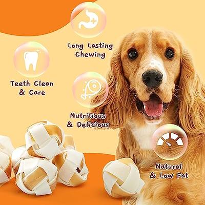 LEGEND SANDY Indestructible Squeaky Dog Chew Toys for Large Breeds, Treat  Dispensing Puzzle Toys, Natural Rubber Balls