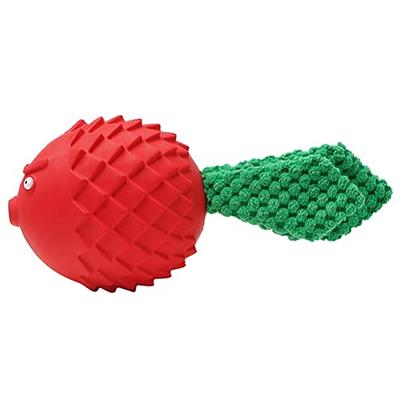 Strawberry Interactive Dog Chew Toy