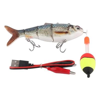 JoyFishing LED Fishing Lures Kit,2/4 Pcs Deep Drop Fishing Lights