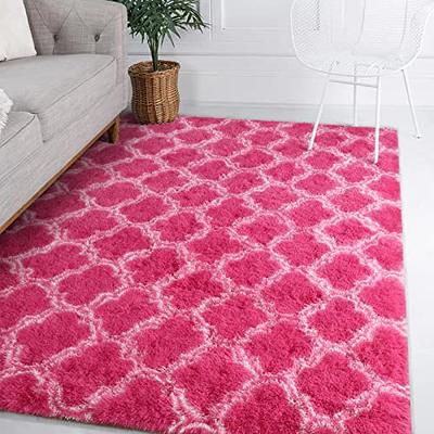Ompaa Fluffy Rug, Super Soft Fuzzy Pink Area Rugs for Bedroom Girls Room  Living Room - 3' x 5' Large Plush Furry Shag Rug - Kids Playroom Nursery