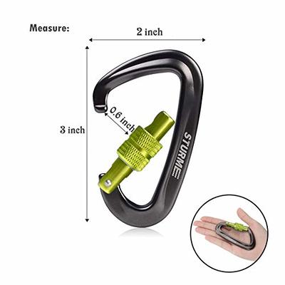 STURME 2 Aluminum D Ring Carabiners Clip D Shape Spring Loaded Gate Small Keychain Carabiner Clip Set Outdoor Camping Mini Lock Snap Hooks Spring