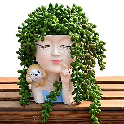 JYTTI Face Flower Pot Head Planter, Planters for Indoor Plants, Small Plant  Pots, Plant Pot with Drainage, Succulent Flower Pots, Dog Mom Gifts for  Women, Modern Vase Decor for Her Home 