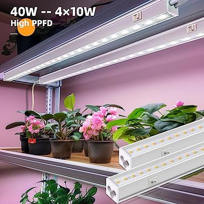 Barrina Grow Lights For Indoor Plants