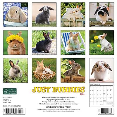 Angler's 2024 Wall Calendar – Willow Creek Press