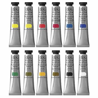 Winsor & Newton Artists' Acrylic Color 12-Tube Set, 20ml - Yahoo Shopping