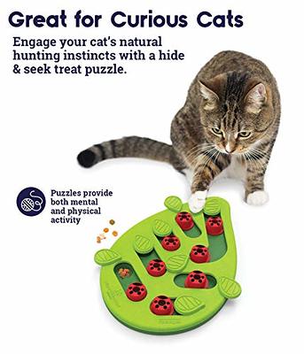 Catstages Nina Ottosson Buggin' Out Puzzle & Play - Interactive Cat Treat  Puzzle & PetSafe SlimCat Meal-Dispensing Cat Toy, Great for Food or Treats,  Blue, for All Breed Sizes - Yahoo Shopping