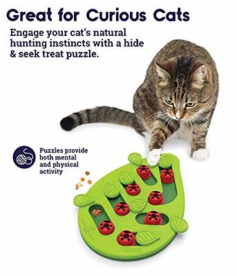 PetSafe SlimCat Meal-Dispensing Cat Toy, Great for Food or Treats