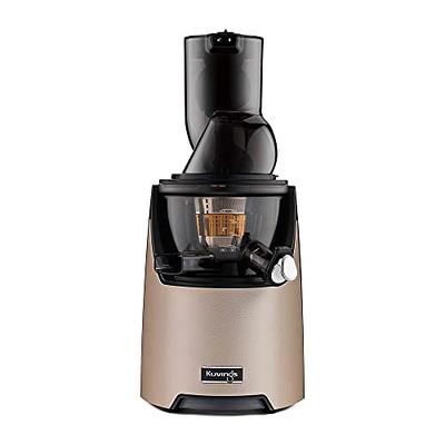 Elite Gourmet EJX600 Compact Masticating Slow Juicer, Cold Press Juice  Extractor
