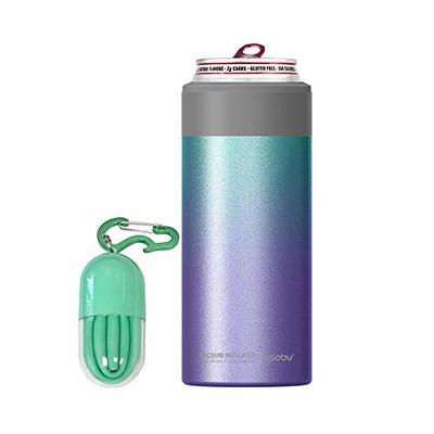 Primula Slim Can Stainless Steel Vacuum Insulated Cooler for 12 Ounce  Skinny Cans, Blue - Yahoo Shopping