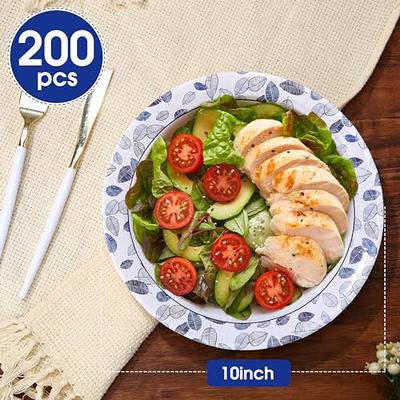 10 Inch Disposable Paper Plates, 120 Count Dinner Paper Plates 10