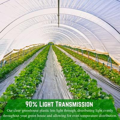 String Reinforced 4 Year UV Resistant 10 mil Clear Greenhouse