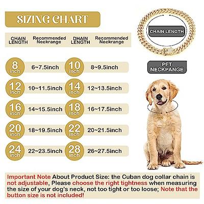 Regal Dog Products Waterproof Dog Collar with Gold Hardware