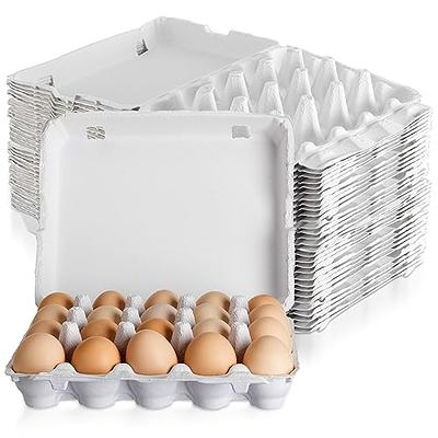 40 Pack Egg Cartons Cheap Bulk, 1 Dozen Clear Egg Cartons, Plastic Egg  Carton Bulk Chicken Egg Tray Holder Egg Tray for Family Pasture Farm Market