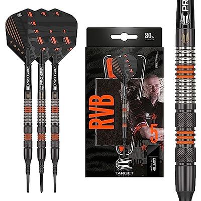 Raymond Van Barneveld GEN 4 95% Steel SP 21g