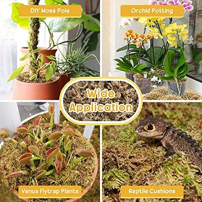 50QT Sphagnum Moss for Plants Roots, Sphagnum Moss for Reptiles Orchid  Potting Mix Soil for Plant, Dried Orchid Moss for Potted Plants Roots  Growing