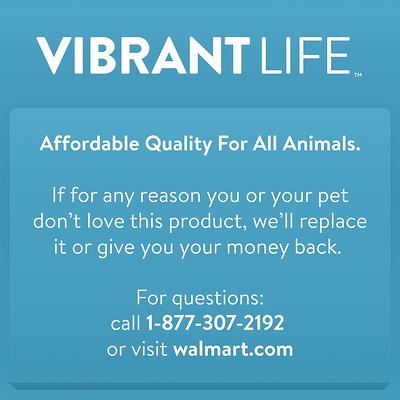 Vibrant Life Medium Gravity Pet Feeder - Dark Gray Base & Clear Bottle - 5 lb