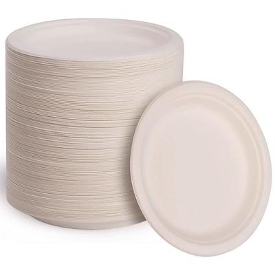 Dixie 500-Pack Paper Leak Proof Disposable Dinner Plates at