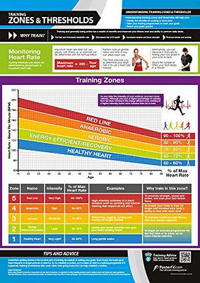  Upper Body Stretching, Dynamic & Static Stretches, Laminated  Home & Gym Poster, Free Online Video Training Support, Size - 33” x 23.5”