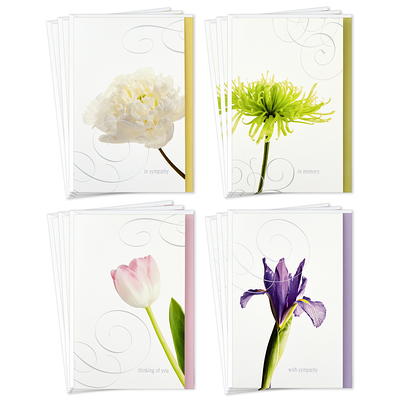 Hallmark Birthday Cards Assortment, Balloons, Cake, Flowers (12 Cards with  Envelopes) 